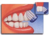 - طريقة استخدام فرشاة الأسنان 39ae5c2465
