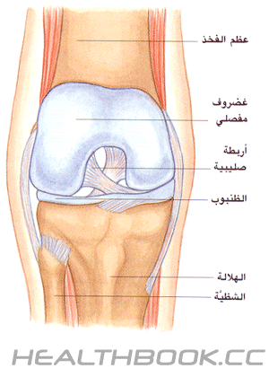  ألم الركبة 4cd44863be