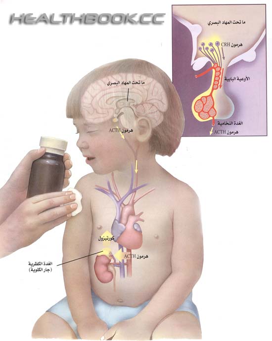 مجموعة "هل تعلم كيف" المصورة التعليمية 5eba303d5e