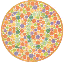   Color blindness E1243ff28e