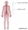 مكتبة صور طبيه F0336b1ae4