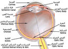 مكتبة صور طبيه Fc40d6b7c8