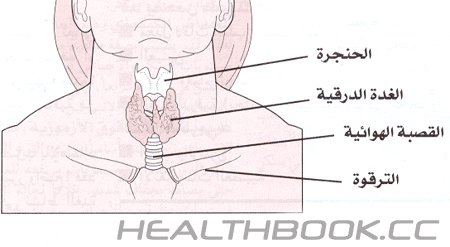  الغدة الدرقية 1