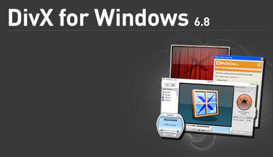      2008   2009 Divx-codec-68-for-windows