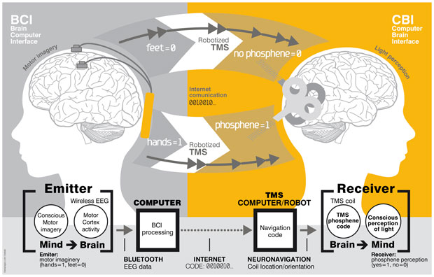 Scientists Fire Up Brain-to-Brain Instant Messaging 80998_620x396