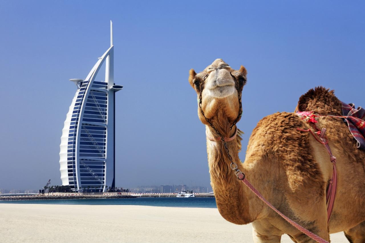 avenir - Le présent montre l'avenir du futur Dubai%20camel%20burj%20al%20arab-xlarge