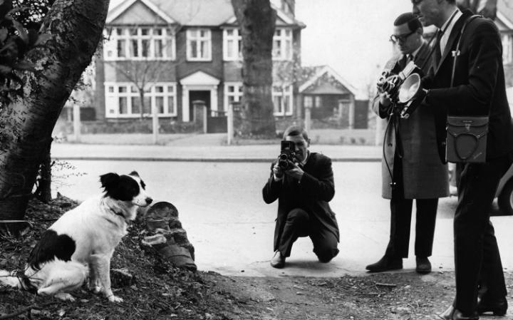 Seven perfect moments in history to stop the clocks  Dog-jules-rimet-trophy-large