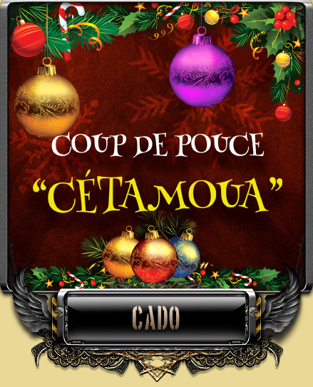 Noël 2014 - sapin et cétamoua CDP-cetamoua-01