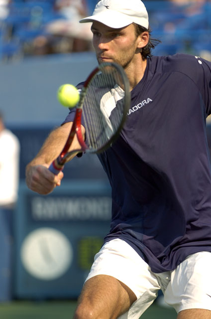 Ivo Karlovic Karlovic