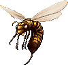 Biblio Abeille_tueuse