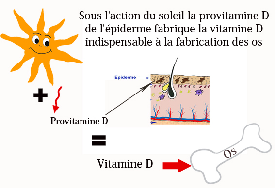 Et si c'était la vitamine D ? Soleil3