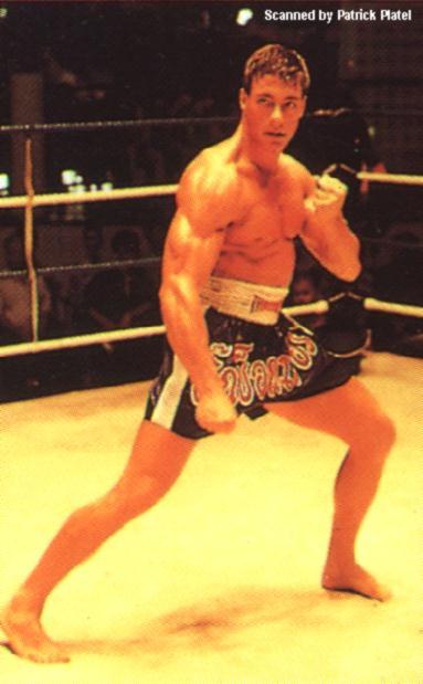 صور ل(kick boxing) VanDamms_Kickboxer_shorts_2