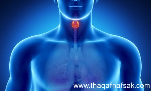 الغدة الدرقية أنواعها ، أسبابها ، العلاج %D8%A7%D9%84%D8%BA%D8%AF%D8%A9-%D8%A7%D9%84%D8%AF%D8%B1%D9%82%D9%8A%D8%A9-.-%D8%AB%D9%82%D9%81-%D9%86%D9%81%D8%B3%D9%83-4