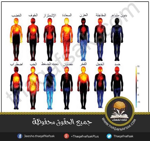 شاهد كيف تؤثر المشاعر على درجة حرارة الجسم ؟ لن تصدق 10811592_819875748051033_1456261062_n