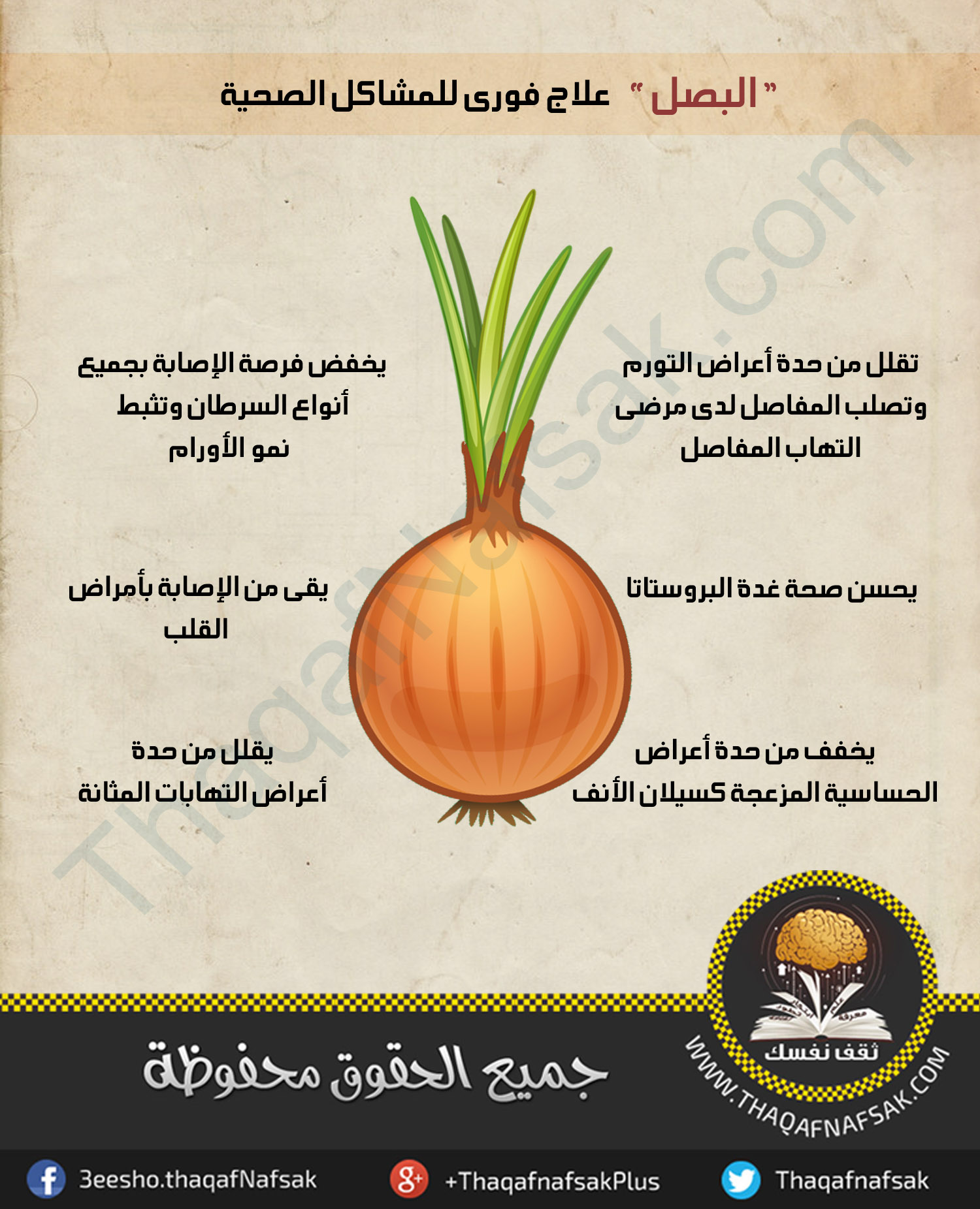 فوائد البصل Onions