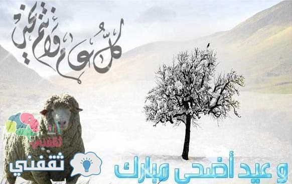 صور ورسائل تهنئة عيد الأضحى المبارك 2015 101