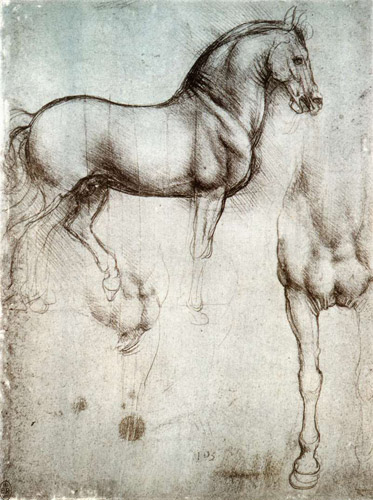 ~*¤ô§ô¤*~ (( ـــــ leonardo da vinciـــــ ))~*¤ô§ô¤*~ Leonardo-da-vinci-horse-8