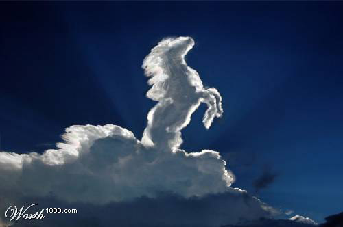 The Coolest Photoshop Horse Pictures Photoshop10