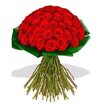 makna bunga mawar 50-red-roses