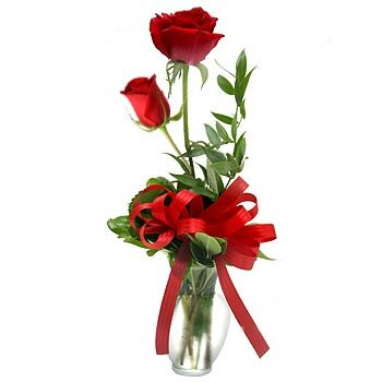 makna bunga mawar Two-red-roses