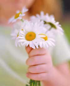 °•.?.•° صمتي عالم لايفهمه ألا أنا ‏°•.?.•°  Girl-with-flowers