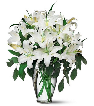اهلأ بكم مع‘ موسوعة الورود Perfect-White-Lilies