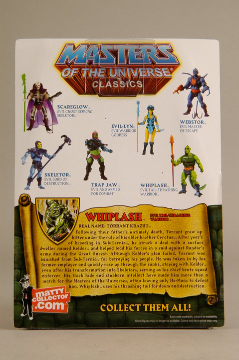 Masters of the Universe Classics - Página 16 29690_406400464843_57309659843_4192480_496907_n