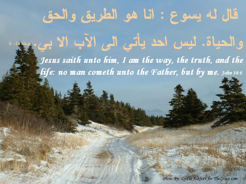 انا هو الطريق والحق والحياة Verse1020