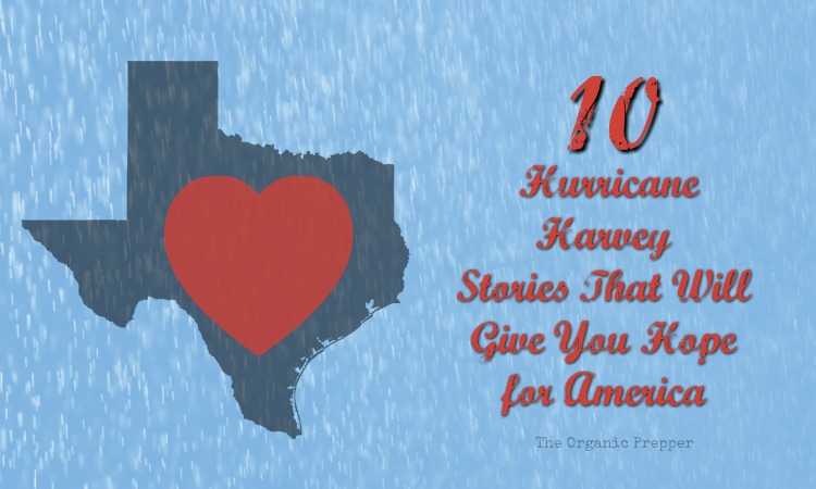 Harvey Updates ~ 8/31/2017 10-hurricane-harvey-stories-that-will-give-you-hope