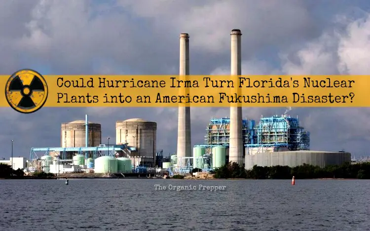 “Worst hurricane ever” headed straight for multiple US nuclear plants Could-Hurricane-Irma-Turn-Floridas-Nuclear-Plants-into-an-American-Fukushima-Disaster