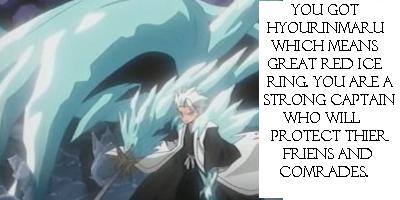 Descubra quem é voce em Bleach. 1757_Hyourinmaru