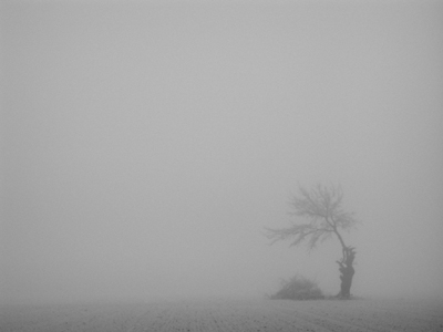 ... e si ricomincia con la nebbia ... Nebbia