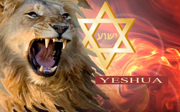 Lion of the Tribe of Judah P-1597-star_of_david_warrior_flag_web_site_size