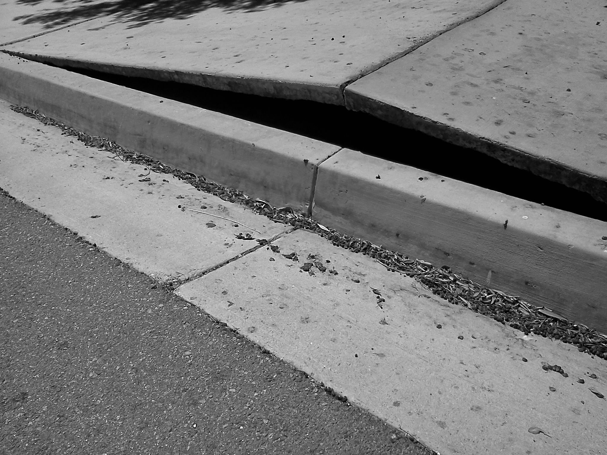 Urgent - URGENT - BREAKING: Sidewalks Starting to Buckle in California; Earthquake Fears Grow! Sidewalk-1