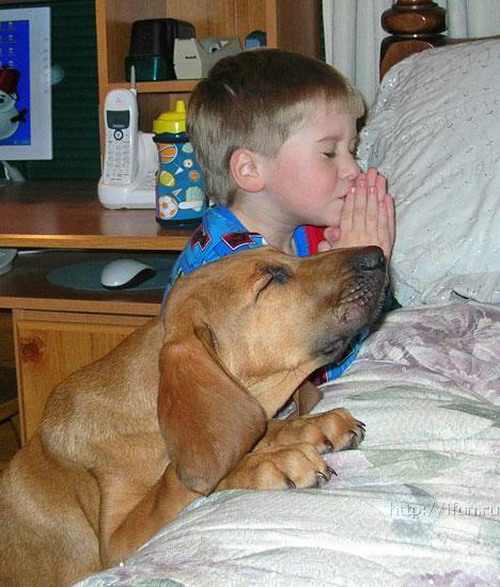ανεκδοτα 4kings Dogs_prayer