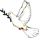   Peacedove_3ix8