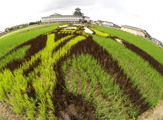 Japanese Farmville Art-at-rice-field