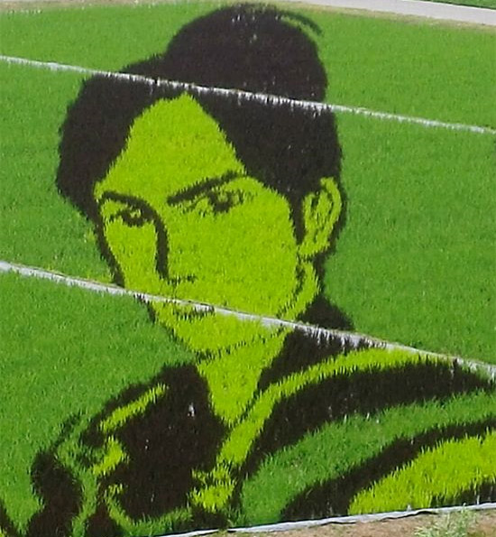 Japanese Farmville Boy-rice-art