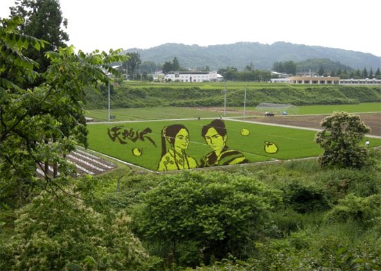 rice art Girl-and-boy-rice-art