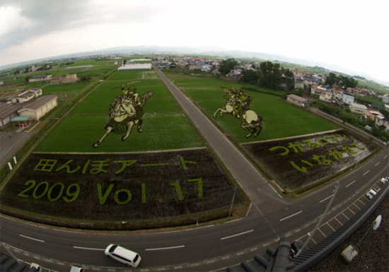 Japanese Farmville Rice-art-field