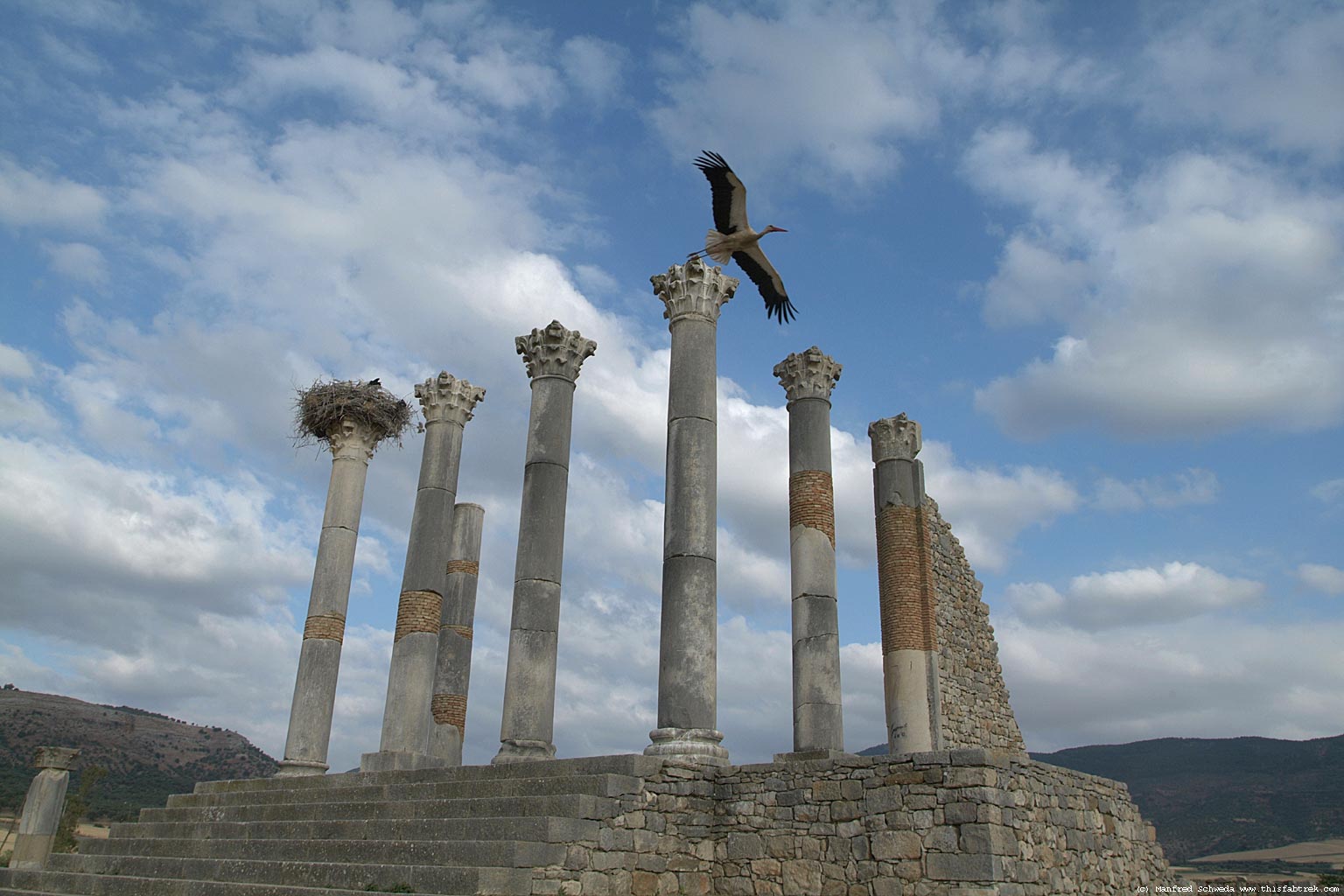 نبذة وصور للمدينة الرومانية الأثرية وليلي Volubilis-stork-4