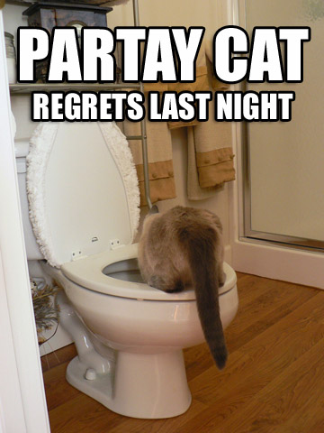 LOL cats Partay_cat