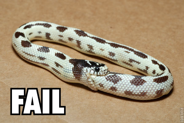 Fails, fails para todos :) Snake_fail