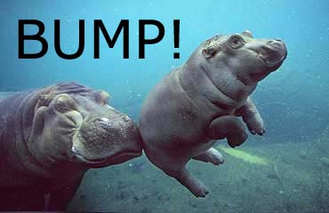 Let's bump this thread to 1000 pages. Hippo_bump