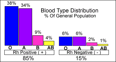 RH- Blood Type - Where do we come from? Most-common-blood-type-o