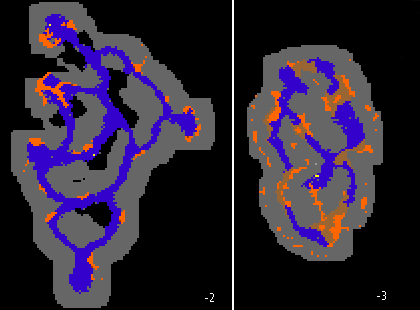 Elite Knight - Sea Serpent + Soft Refiller Sea_Serpent_Area_2_Mapa