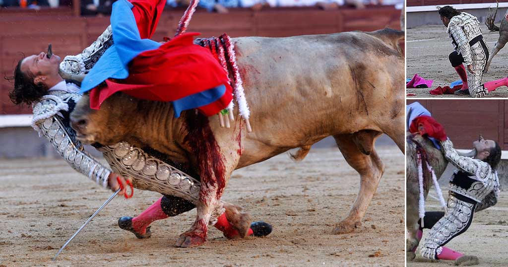 Μία εικόνα 1000 λέξεις: Όταν στο τέλος νικάει ο ταύρος T157