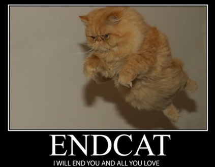 AWESOMENESS!!!! - Page 2 Endcat