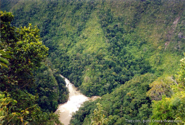 Segundo Examen Chuunin La_selva_lacandona