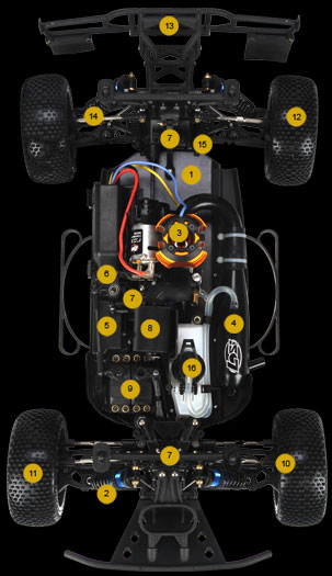 LOSI TEN-SCT Nitro 4WD RTR Callouts